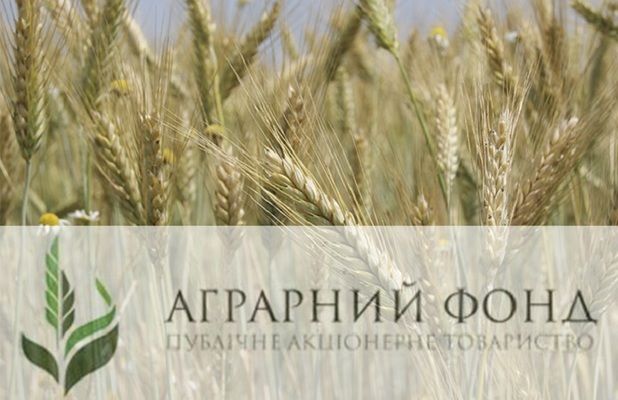 Кабмин в 2017 году выставит на приватизацию "Аграрный фонд"