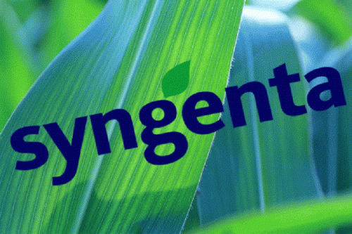 Syngenta купить у COFCO насіннєвий бізнес
