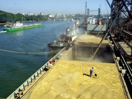 Админсуд Египта восстановил требование по «нулевой спорынье» в импортируемой пшенице