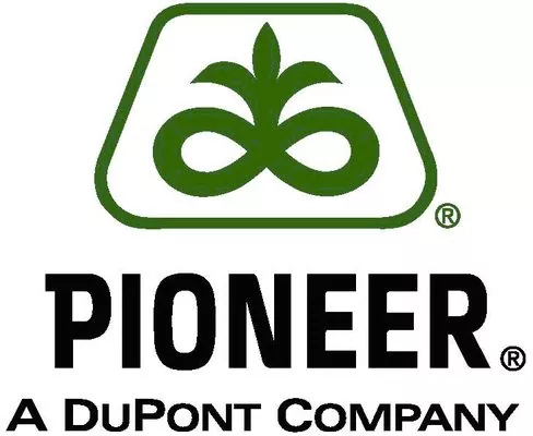 Семена DuPont Pioneer превосходят европейские аналоги — Сальников