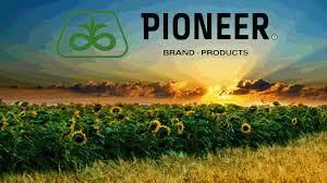 Гибриды кукурузы Pioneer заняли ТОП-5 мест в ІІІ Западноукраинском чемпионате на лучший гибрид