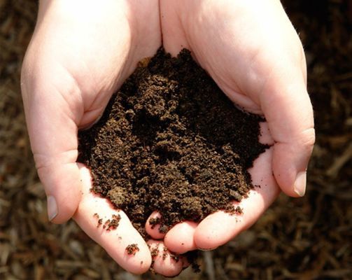 Правительство Украины усовершенствовало механизм сохранения и воспроизводства плодородия почв