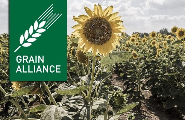 Grain Alliance сократила прибыль в 2,4 раза