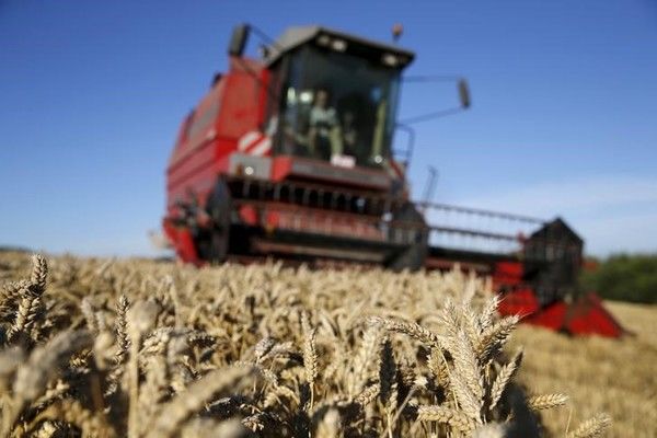 Аграрии Полтавской области намолотили 4 млн т зерна