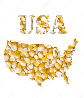 Отгрузки американской кукурузы сократились в этом сезоне на 7,4 млн тонн