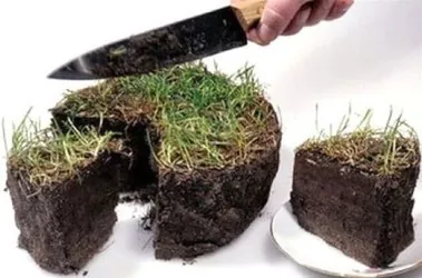 Земельна реформа забезпечить 4–5% приросту ВВП