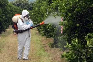 Европейское сообщество повышает требования к пестицидам