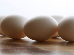 Половина экспорта украинских яиц пришлась на ОАЭ