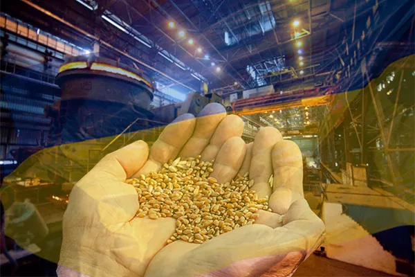 Кернел стал крупнейшим экспортером кукурузы в 2015/16 МГ