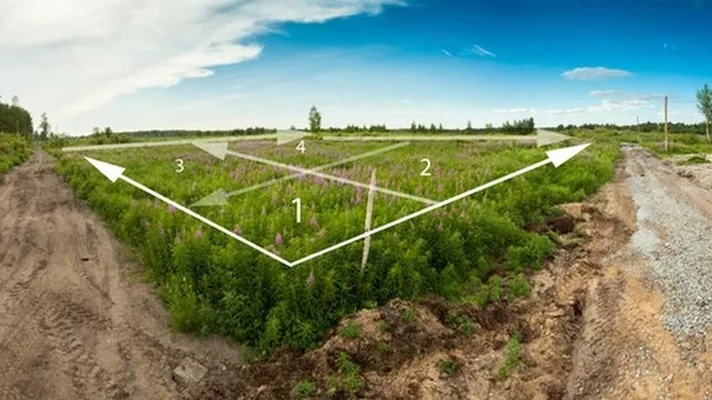 Верховная Рада может продлить мораторий на продажу сельхозземель в Украине