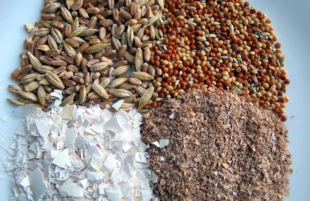 Прогноз: В Украине ожидается подорожание комбикормов