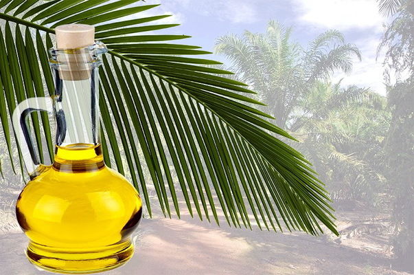 Украина с начала года импортировала более 170 тыс. тонн пальмового масла