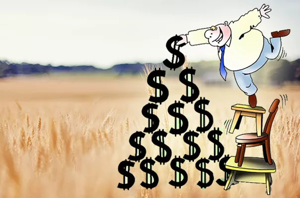 Возлагать на зернотрейдеров ответственность за девальвацию — преувеличение — мнение