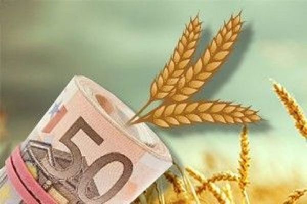 ГПЗКУ профинансировала украинских аграриев на 100 млн грн