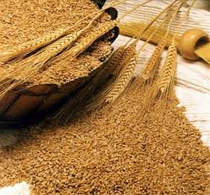 Украина экспортировала 500 тыс. т пшеницы в Индию