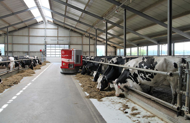В Ровенской области открыли первую семейную молочную ферму