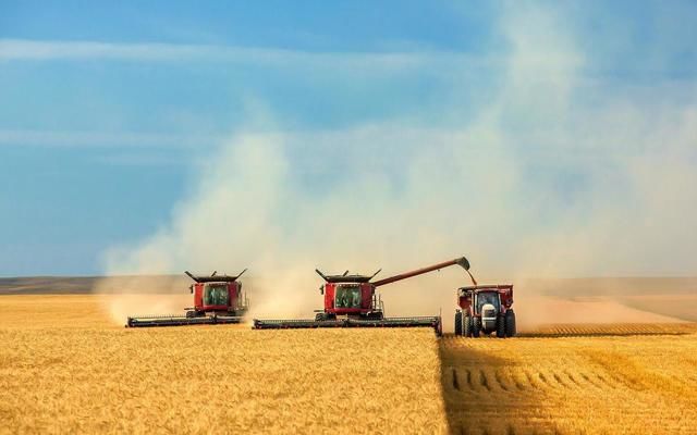 США продали на экспорт самый большой объем мягкой пшеницы за 1,5 года