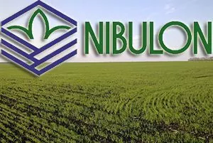 Дефицит вагонов-зерновозов к 2020 г. может достичь 18 тыс. — ЦТС