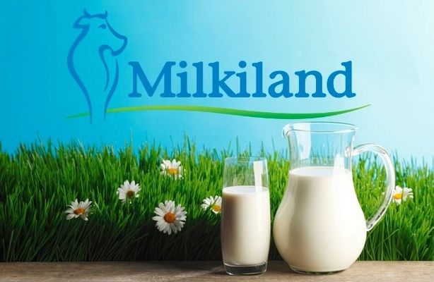 "Милкиленд" назначила аудитора финансовой отчетности за 2017 год