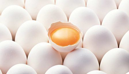 Украина за январь-ноябрь экспортировала 80 тыс. т яиц