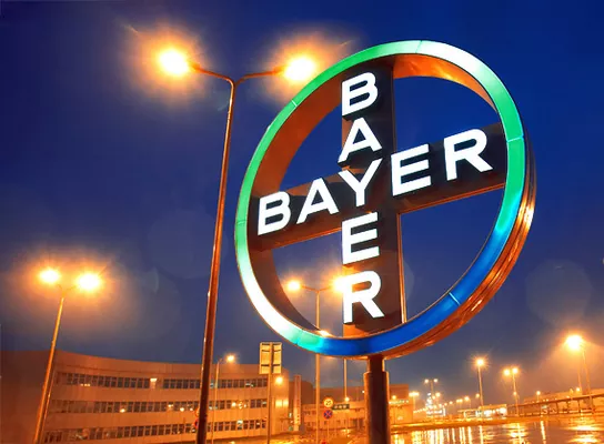 Bayer делает ставку на кукурузу и подсолнечник — Домалюк