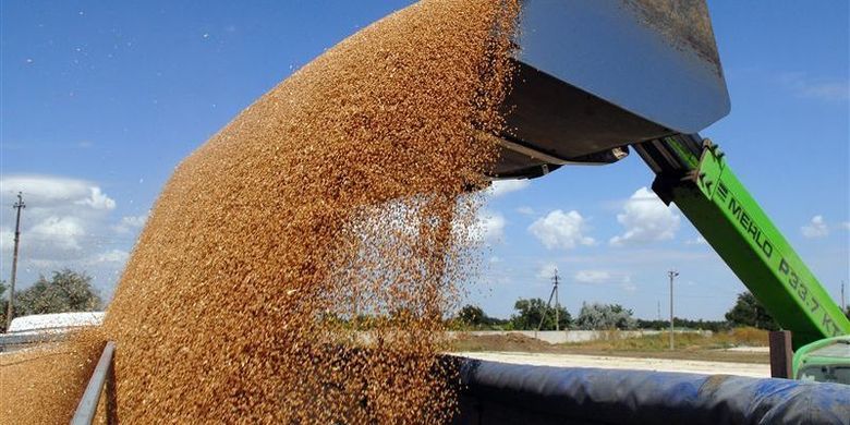 Украина с начала 2016/17 МГ экспортировала свыше 10 млн т зерна