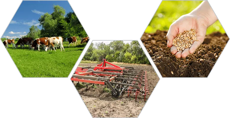 Власть, бизнес и общественность должны сотрудничать для развития АПК — Мартынюк