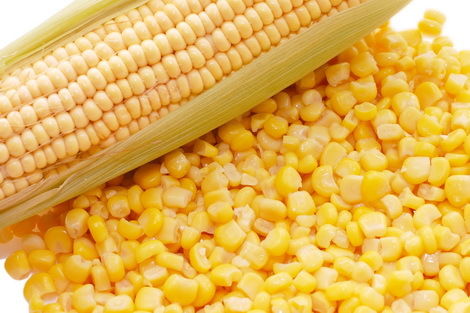 Украина экспортирует 19 млн т кукурузы — прогноз