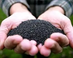  ЕС ужесточает правила импорта австралийской канолы