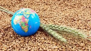 Украина в январе-ноябре сократила объем всех позиций зернового экспорта