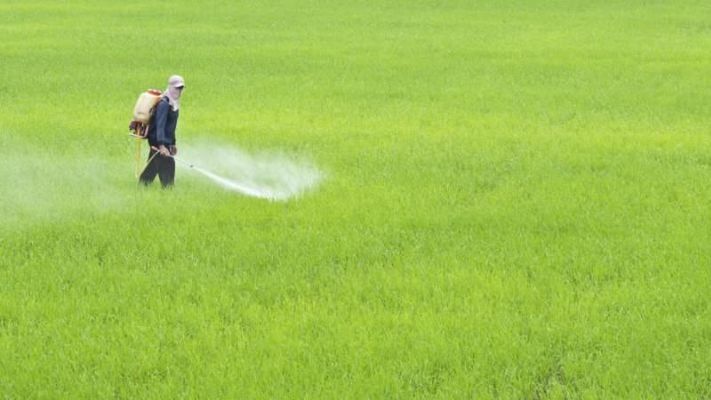 Список з 17 країн підписали заяву про безпечне використання пестицидів