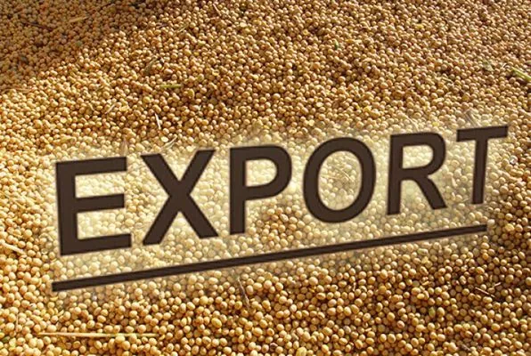 Украина за январь-ноябрь экспортировала 2,4 млн т сои