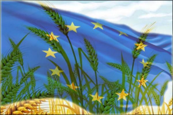 К 2030/31 МГ экспорт мягкой пшеницы из ЕС может увеличиться почти на 10 млн. тонн – прогноз