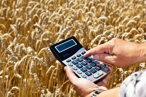Аграрный фонд законтрактовал зерна урожая-2017 на 2,9 млрд грн