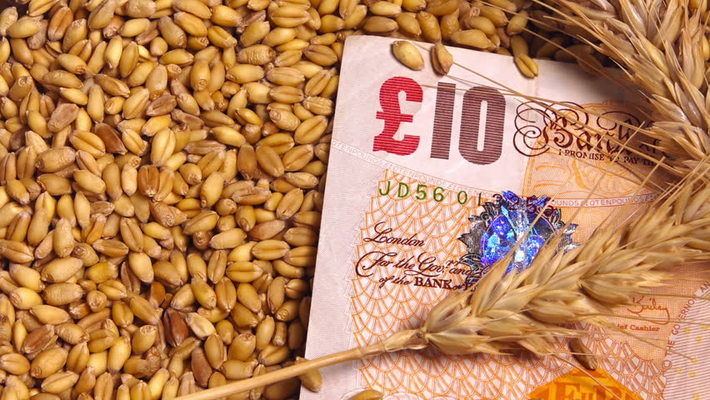  Великобритания понизила оценку производства пшеницы в 2017г.