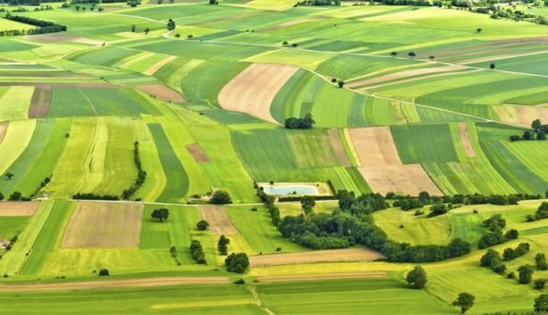 Госгеокадастр Украины в 2017 году выдал более 1,5 тыс. прав аренды на сельхозземлю