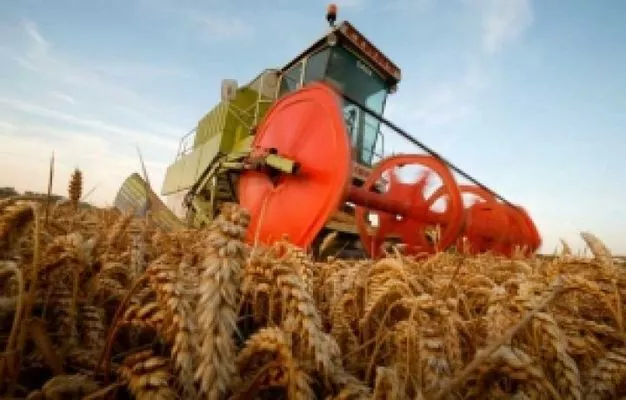 Дожди позволили Аргентине продолжить сев сои и кукурузы