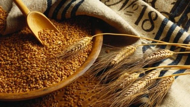 В Харьковской области собрано более 2 млн. тонн ранних зерновых и зернобобовых культур