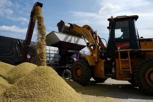 Минсельхоз Франции повысил оценку производства кукурузы в стране в 2017/18 МГ и снизил – пшеницы и рапса