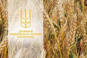 ГПЗКУ в 2 раза увеличила закупку зерновых и масличных культур у сельхозпроизводителей
