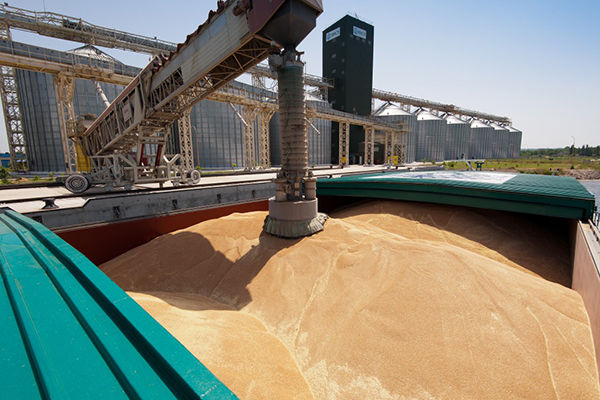 Филиал НИБУЛОНа отгрузил на водный транспорт 150 тыс. т зерна в 2016 г.