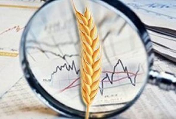 Украина. Прогноз урожая зерна 2018 года