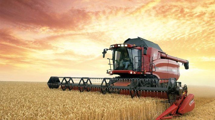 Украинские аграрии намолотили более 50 млн т зерновых 