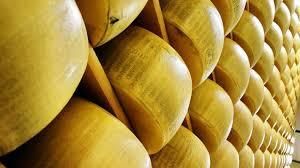  «Молочний альянс» здійснив перші поставки сирів до ОАЕ та США