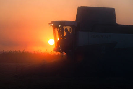 Во Львовской области объем производства сельхозпродукции увеличился почти на 6%