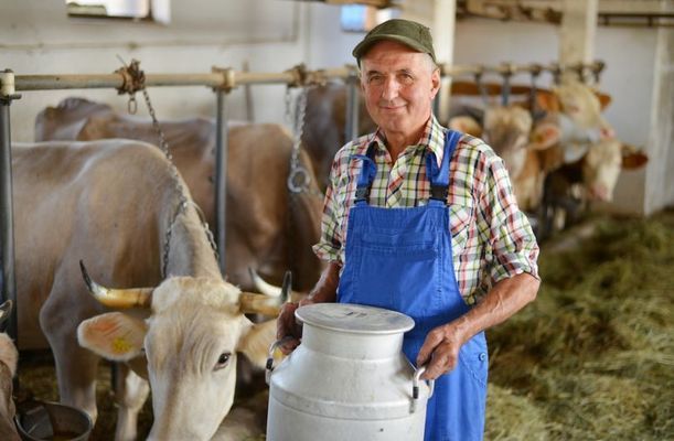 В Луганской области создадут три молочных кооператива