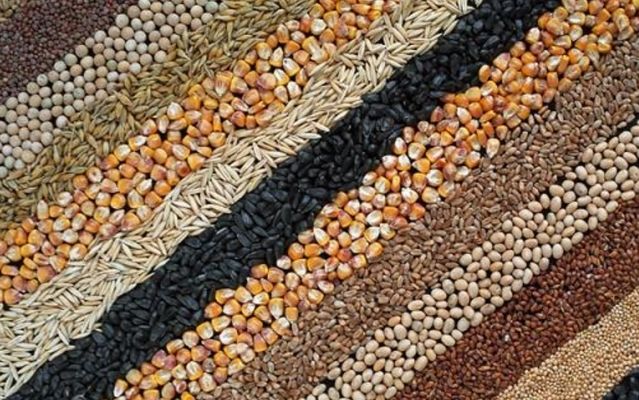 Средний уровень цен спроса на зерновые и масличные культуры (04.01.-11.01.2018 г.)