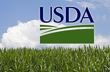 USDA вновь повысило прогноз мирового производства пшеницы в 2017/18 МГ