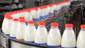 Середній ефективний виробник молока отримав додатково 2-3 млн гривень прибутку за 2017 рік