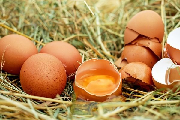У 2018 Україна експортувала яєць на $94 млн